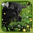 Pantera Forest LWP APK