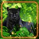 Panther Leopard Black APK