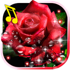 Roses Drops live wallpaper ไอคอน