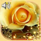 Roses Gallery 图标