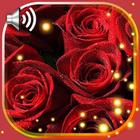 Roses Red Flowers simgesi