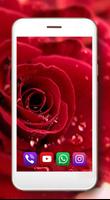 Roses Red Flowers Ekran Görüntüsü 3