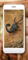 Scorpions Danger poster