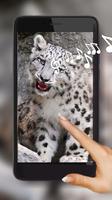Snow Leopard Bars poster