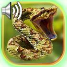 Snake Sounds 圖標