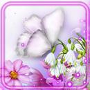 Spring Beauty Time APK
