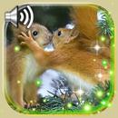 Squirrels Gallery APK