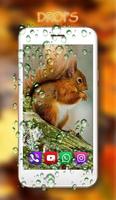 Squirrels Gallery screenshot 1