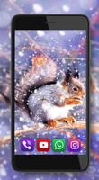 Squirrels Gallery screenshot 3