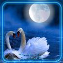 Лебеди Лунная Ночь APK