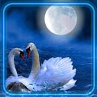 Swans Moonly Night ikon