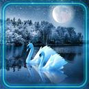Лебеди Ночное Озеро APK