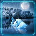 Swans Night Lake آئیکن