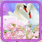 Swans Beauty آئیکن