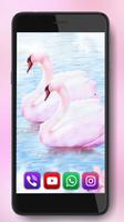 Swans Beauty اسکرین شاٹ 2