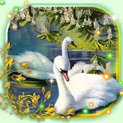 Swans Live Wallpaper APK download