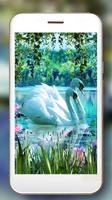 Swans Live Wallpaper 截圖 2