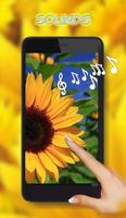 Sunflowers Summer الملصق