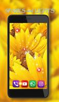 Sunflowers Summer تصوير الشاشة 2