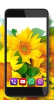 3 Schermata Sunflowers Summer