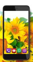 Sunflowers Summer تصوير الشاشة 3