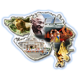 Gujarat Election иконка