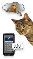 Human-to-Cat - Play with your  syot layar 2