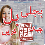 Online Electricity Bill Checker for Pakistan Bijli icône