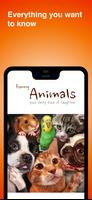 Funny Animals penulis hantaran