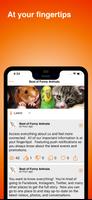 Funny Animals syot layar 1
