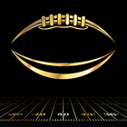 Football Digest أيقونة