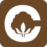 ”Cotton Ginning Process