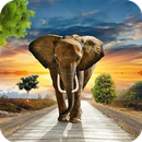 Elephant wallpaper Full HD APK