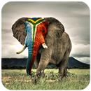 Elephant Wallpaper HD APK