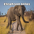 Elephant Infos-icoon
