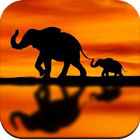 Elephant Wallpaper icon