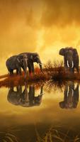 Elephant Wallpaper screenshot 2