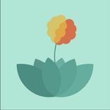 Depression Anxiety Therapy