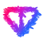 TON browser icône