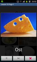 Danish in a Month Free تصوير الشاشة 3