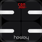 Hesley icon