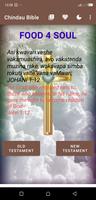 Poster Chindau Bible
