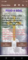 Chichewa Bible โปสเตอร์