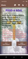 Lozi Bible 海報
