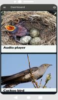 Cuckoo bird sounds Affiche