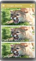 sonidos Cougar captura de pantalla 1