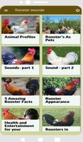 Rooster sounds ภาพหน้าจอ 2