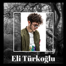 Eli Türkoğlu - Yokluğunun Ertesi APK