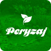 Ücretsiz Peyzaj Tasarım Fikirleri