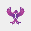 Coin Toss icon